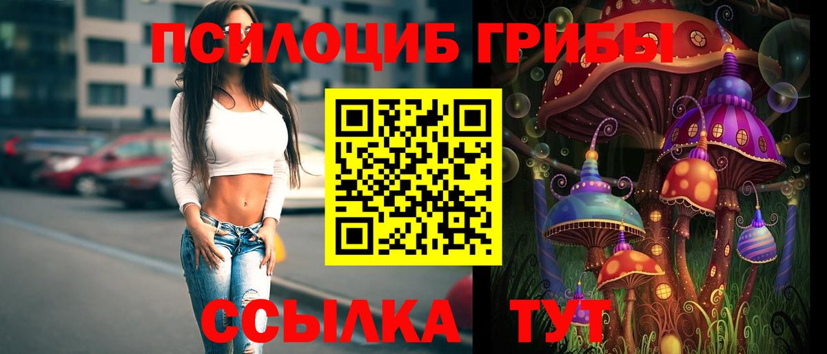 Луховицы  Псилоцибиновые грибы мицелий  Вход с VPN 